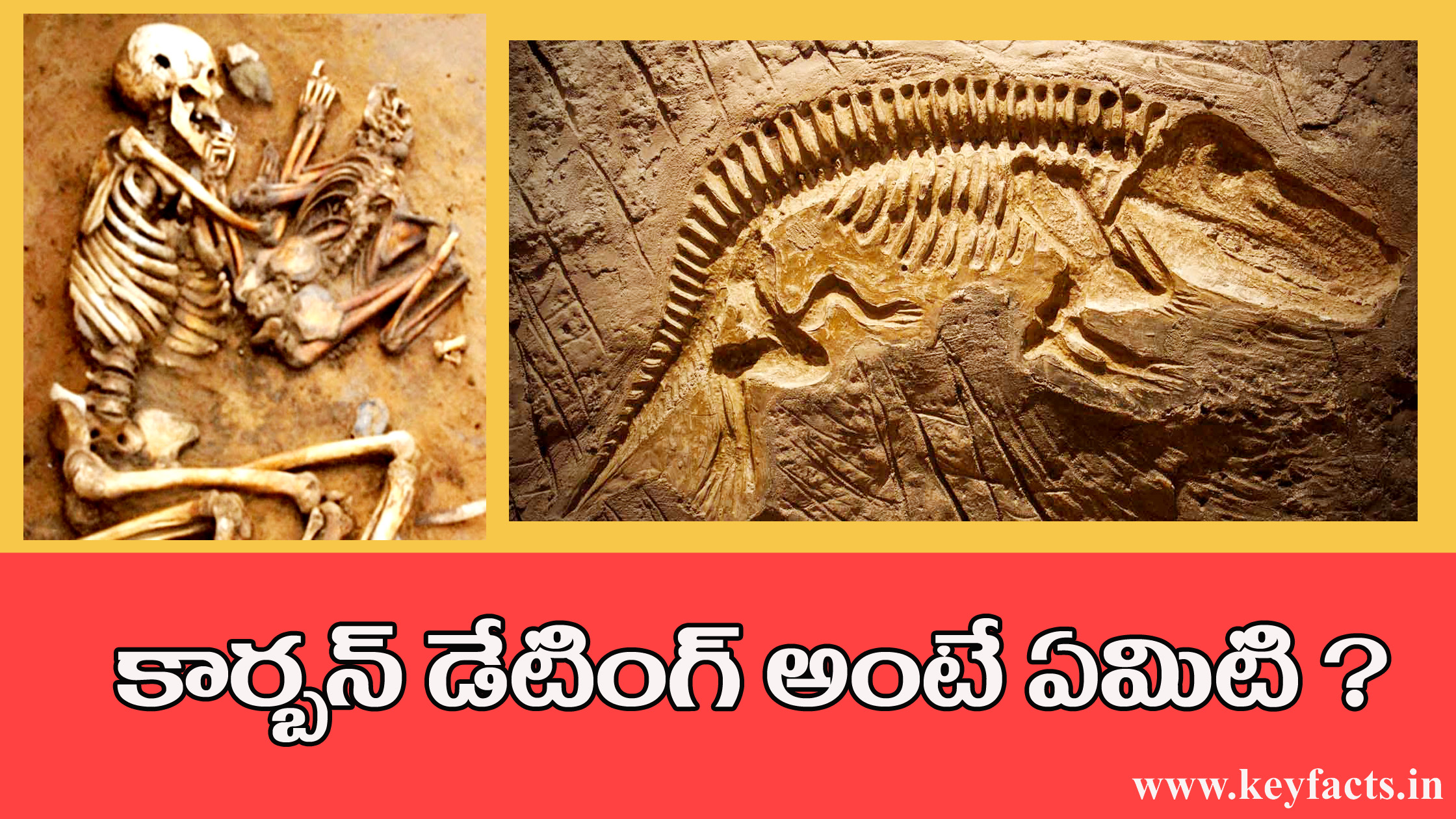 what is carbon dating ?